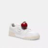 Apple Shoe Charm