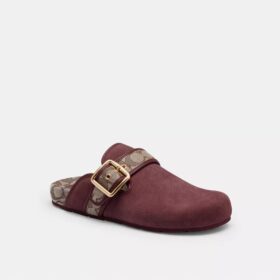 Archival Buckle Clog