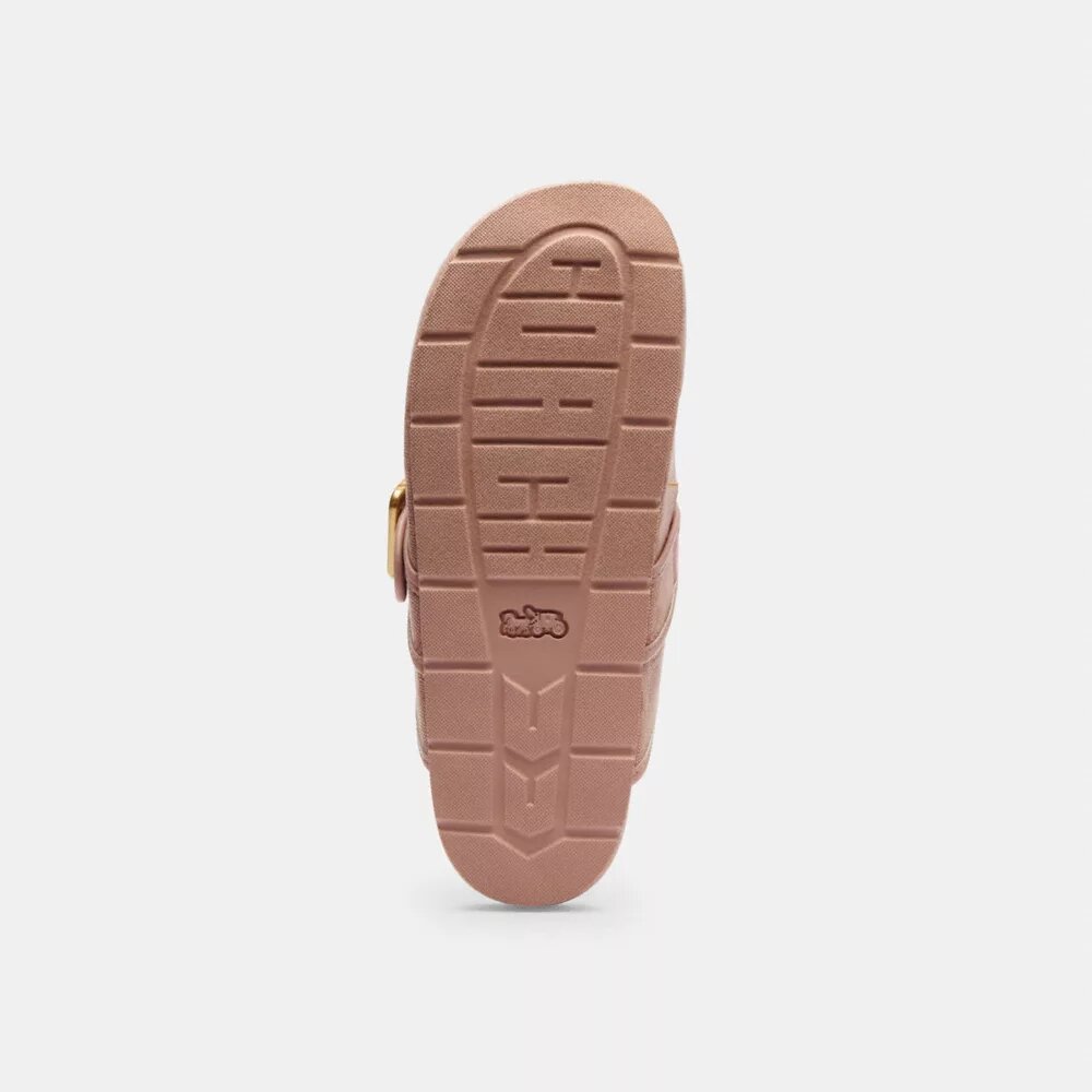 Archival Buckle Clog in Signature Jacquard Canvas