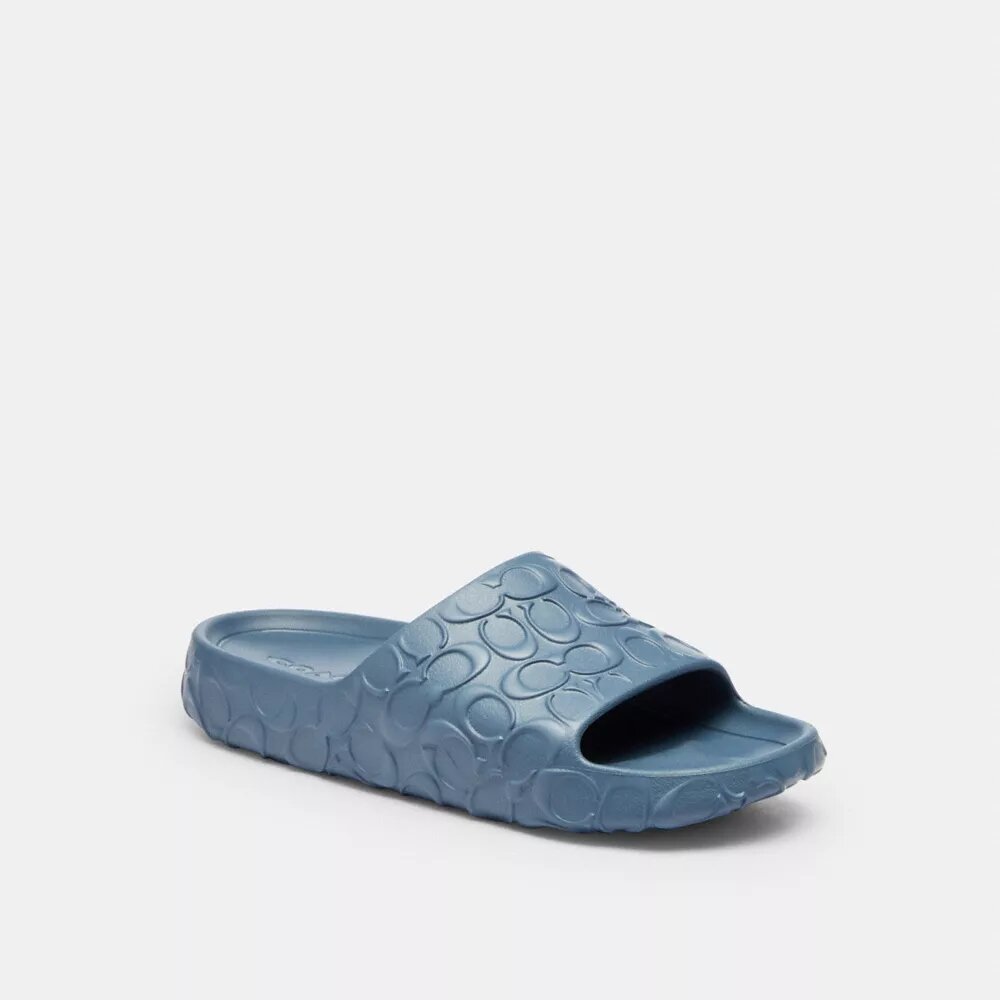 Bay Slide in Signature