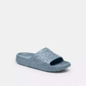 Bay Slide in Signature