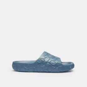 Bay Slide in Signature