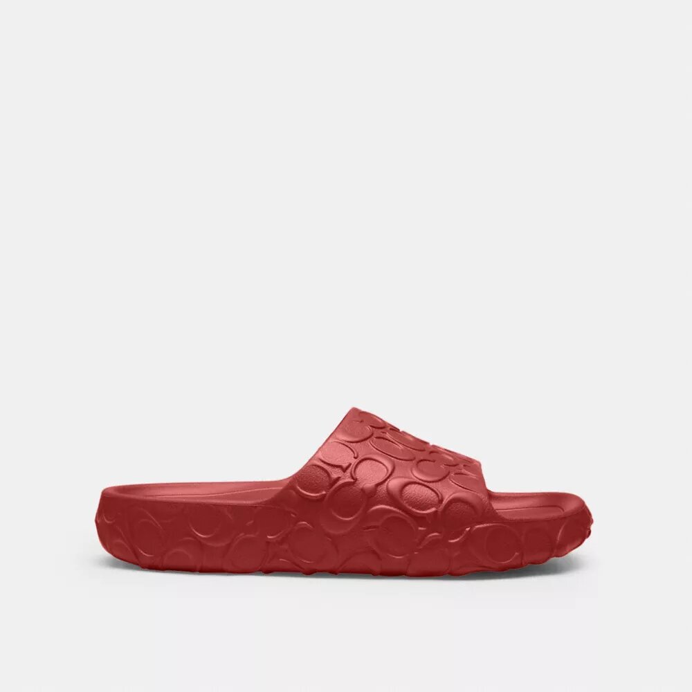 Bay Slide in Signature
