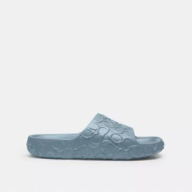 Bay Slide in Signature