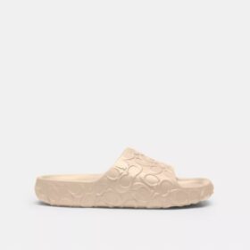 Bay Slide in Signature