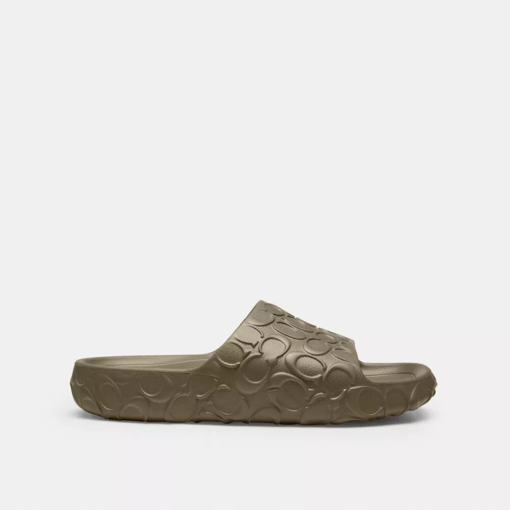 Bay Slide in Signature
