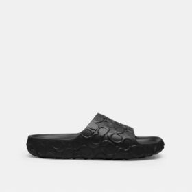Bay Slide in Signature