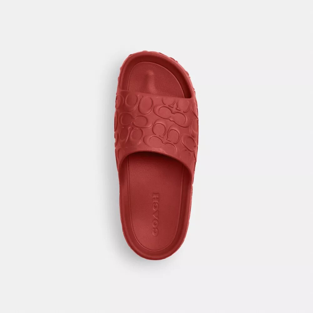 Bay Slide in Signature