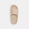 Bay Slide in Signature