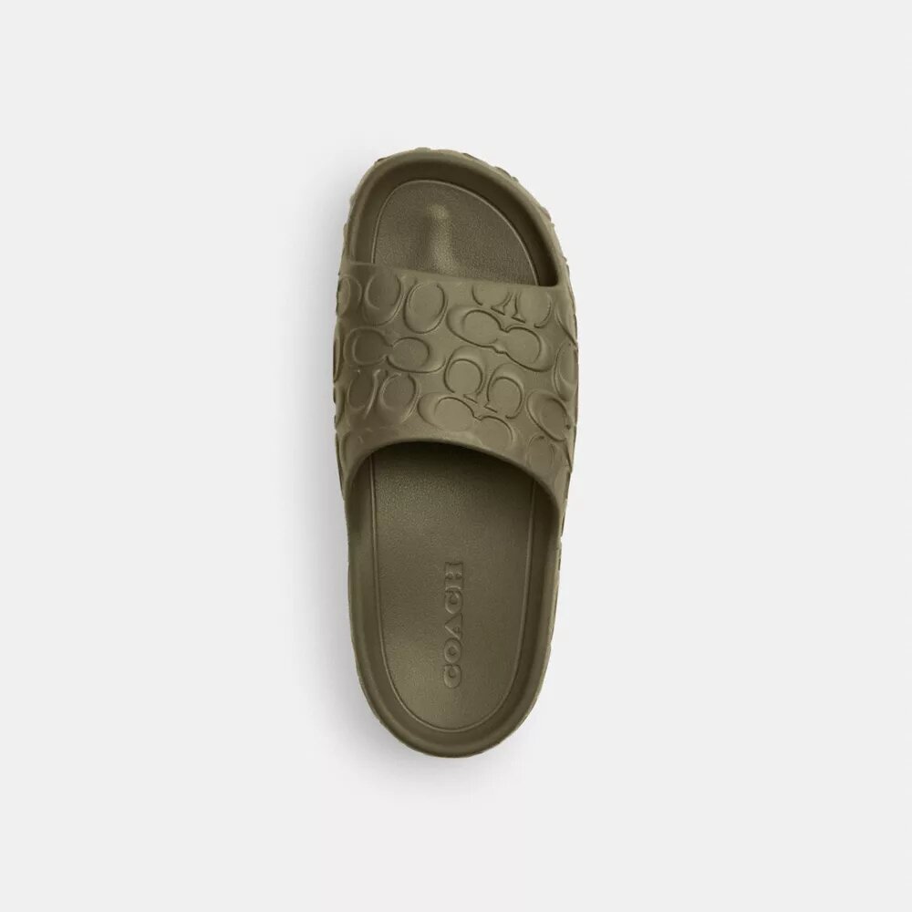 Bay Slide in Signature
