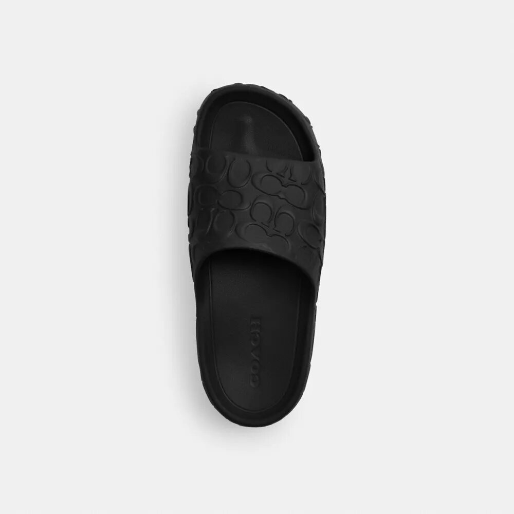 Bay Slide in Signature