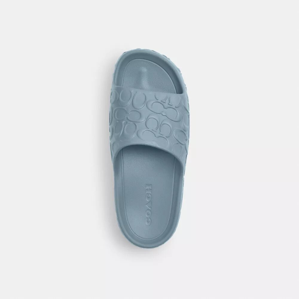 Bay Slide in Signature