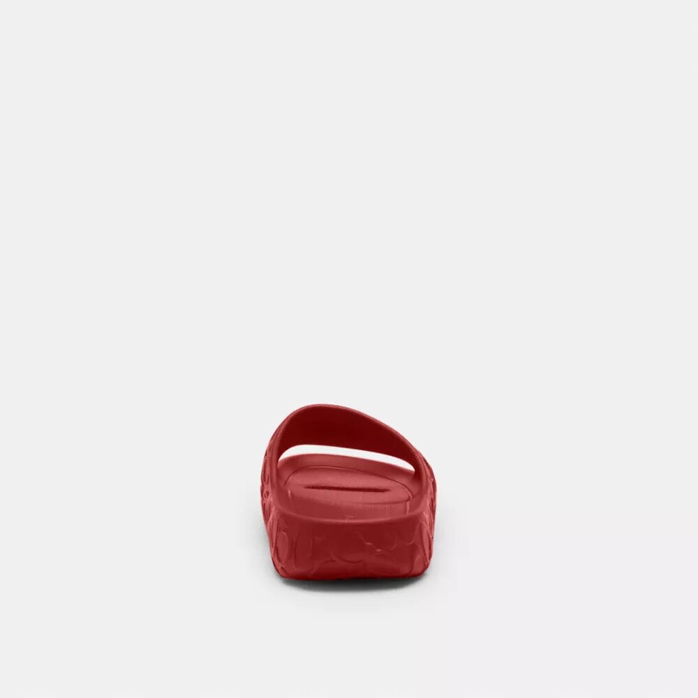 Bay Slide in Signature