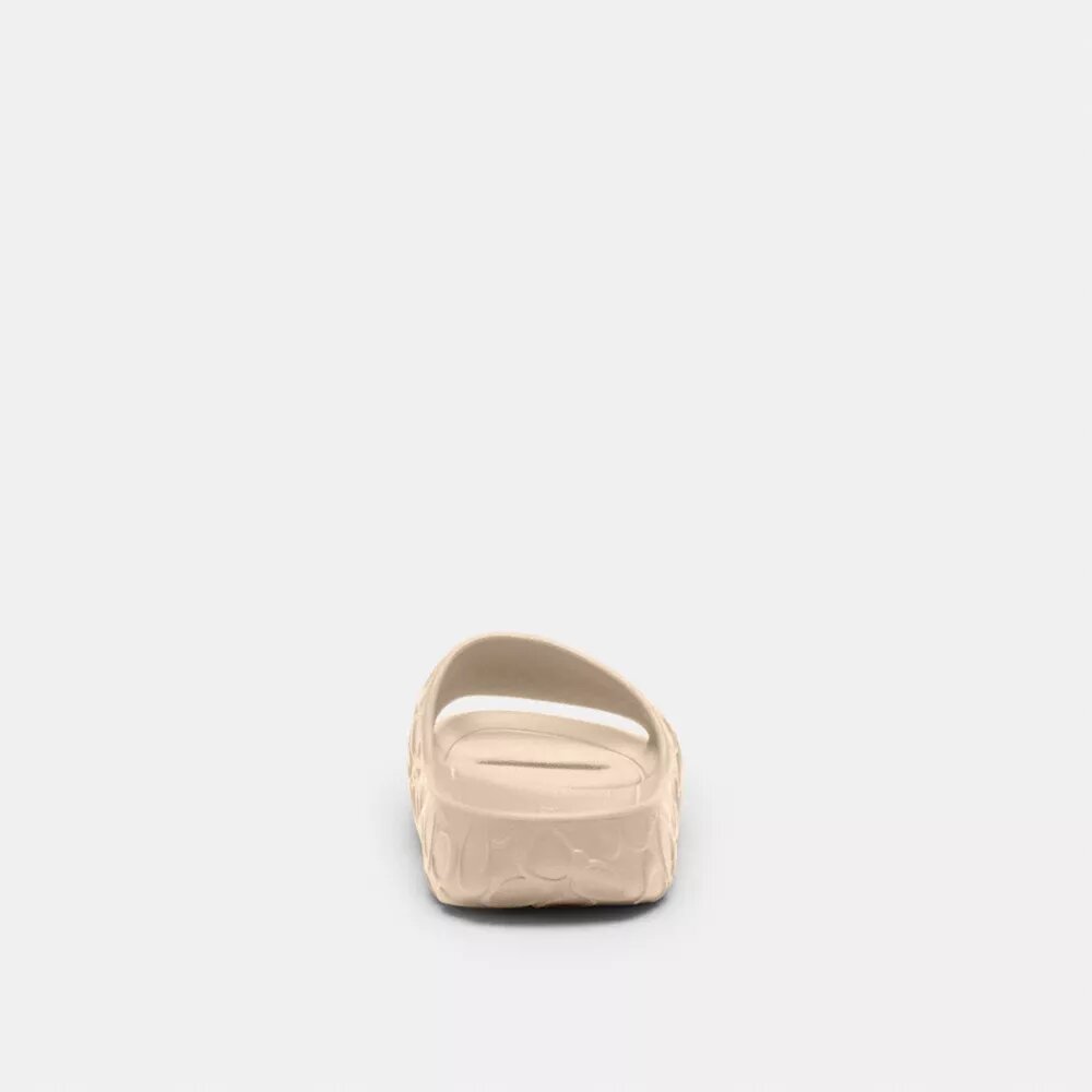 Bay Slide in Signature