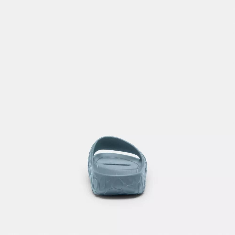 Bay Slide in Signature