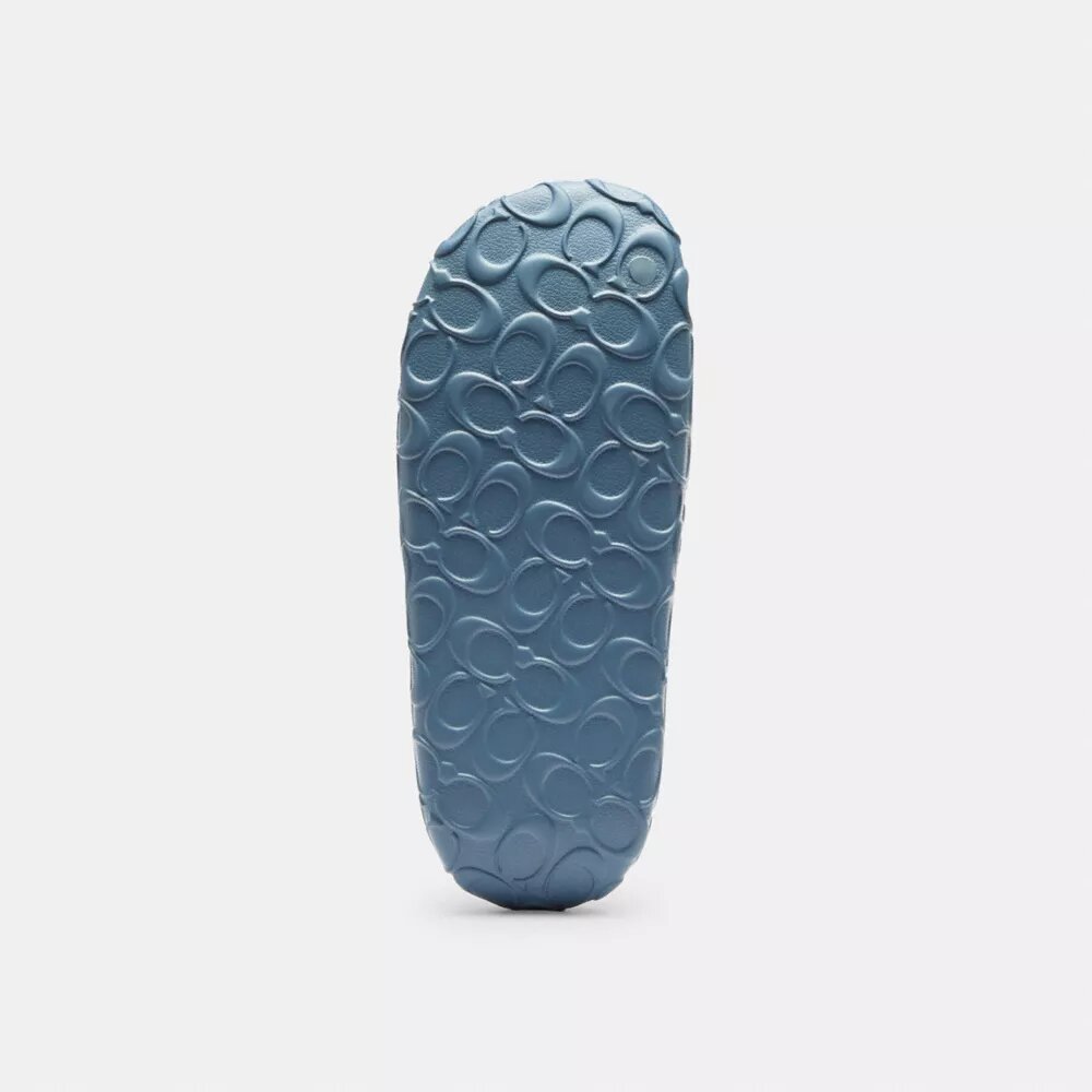 Bay Slide in Signature