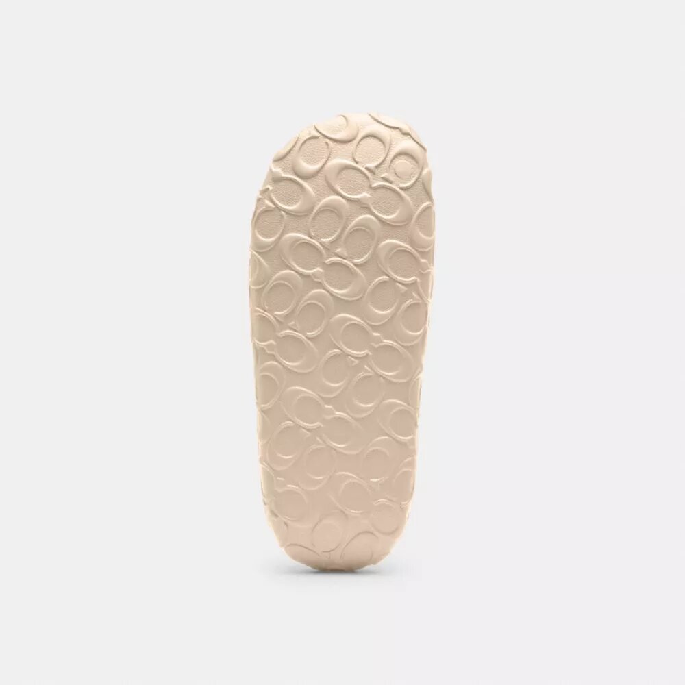 Bay Slide in Signature