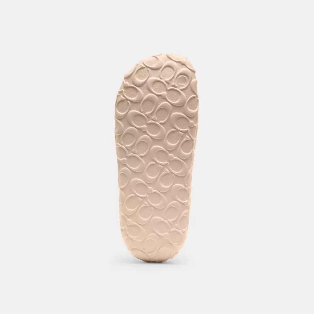Bay Slide in Signature