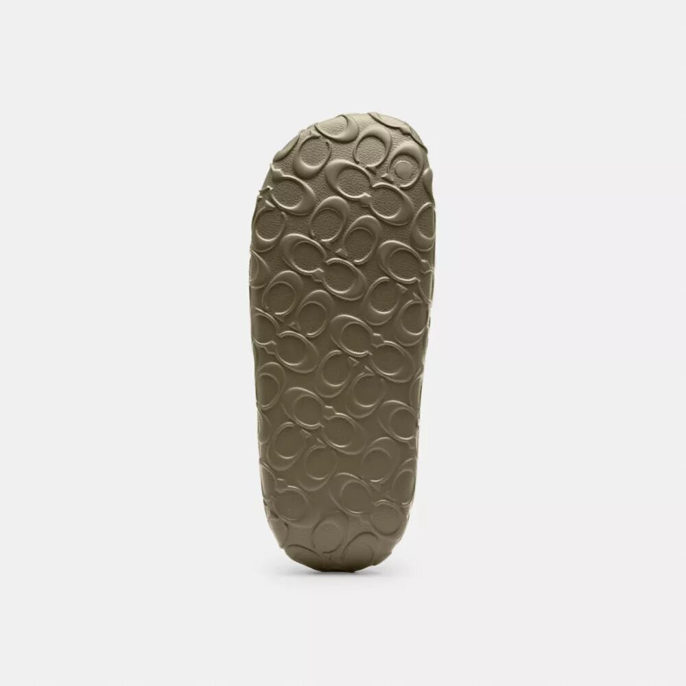 Bay Slide in Signature
