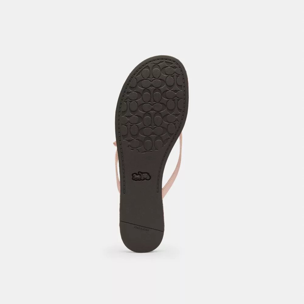 Bow Flip Flop in Signature Jacquard