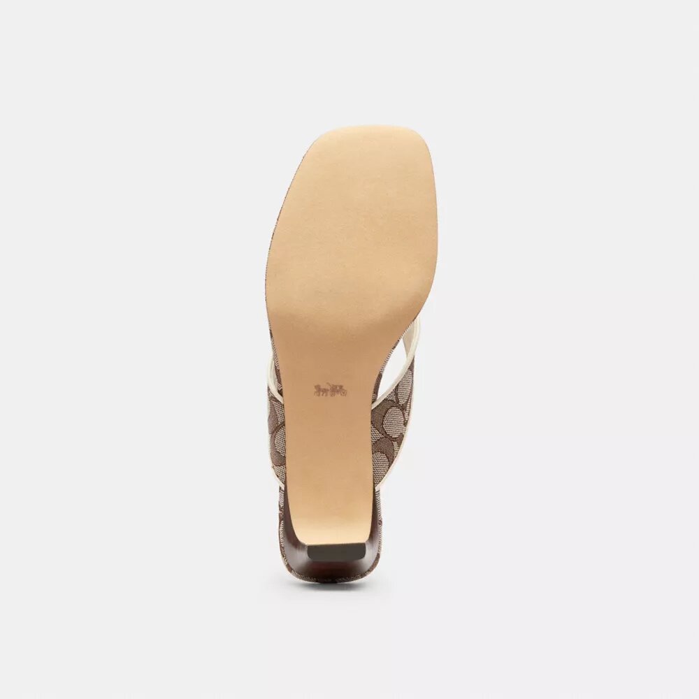 Bow Thong Kitten Heel in Signature Jacquard