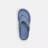 Brynn Thong Sandal in Crystal Signature Denim