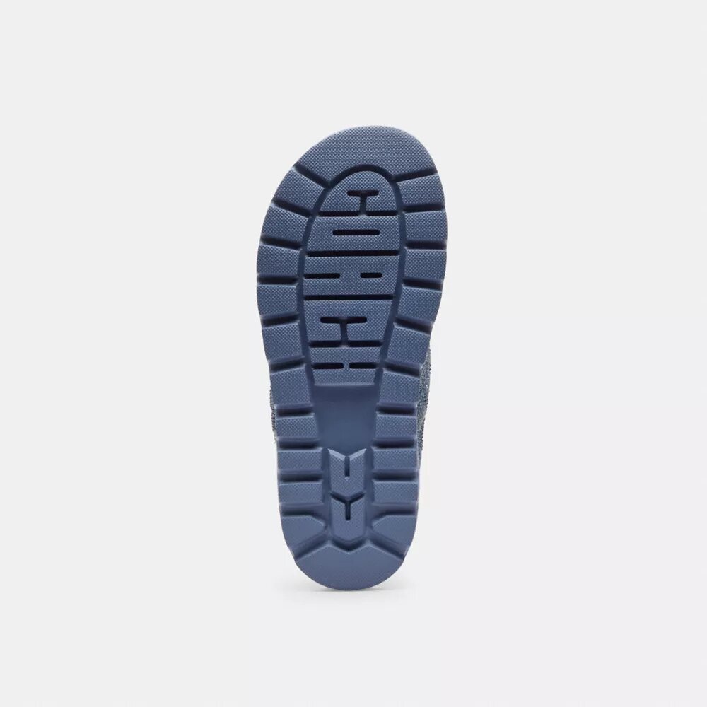 Brynn Thong Sandal in Crystal Signature Denim