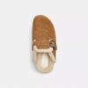 Buckle Clog in Signature