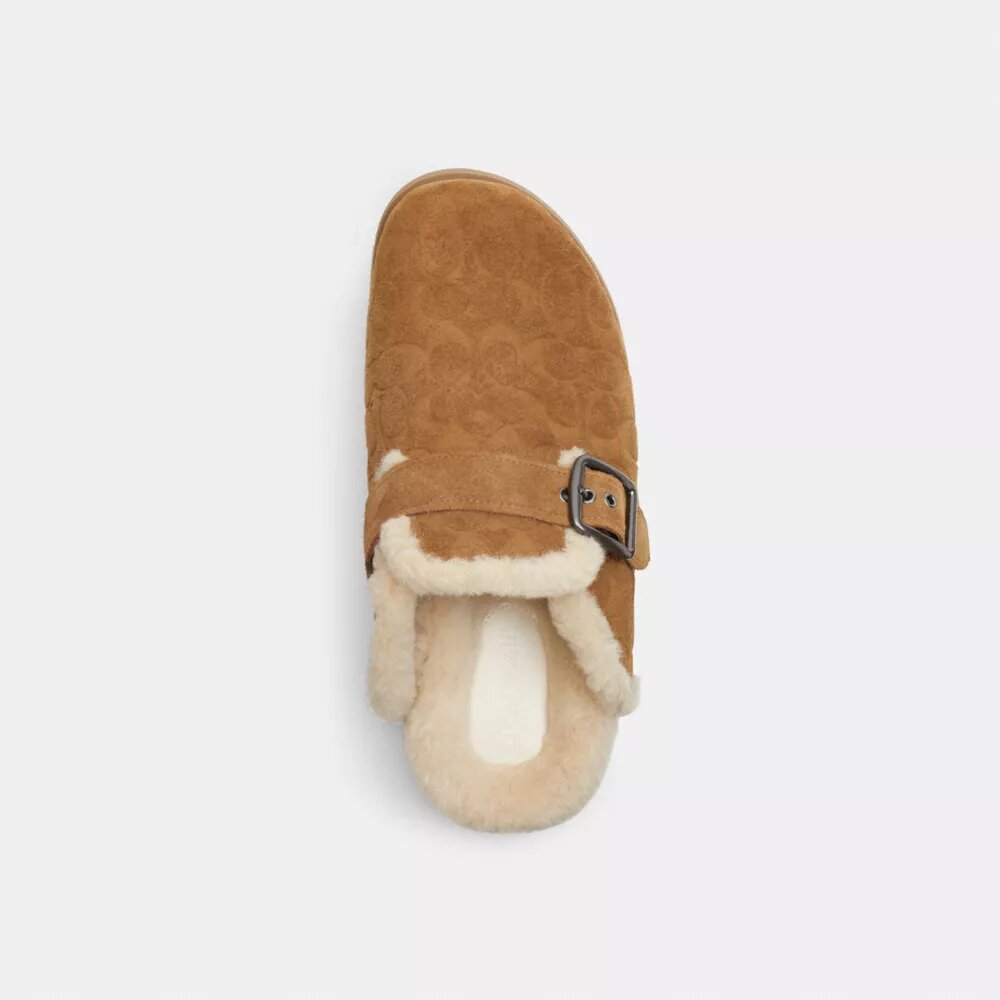 Buckle Clog in Signature