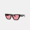 C Hardware Cat Eye Sunglasses