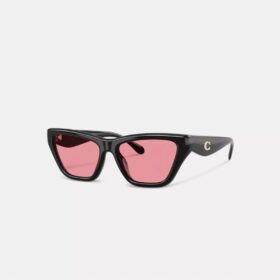 C Hardware Cat Eye Sunglasses