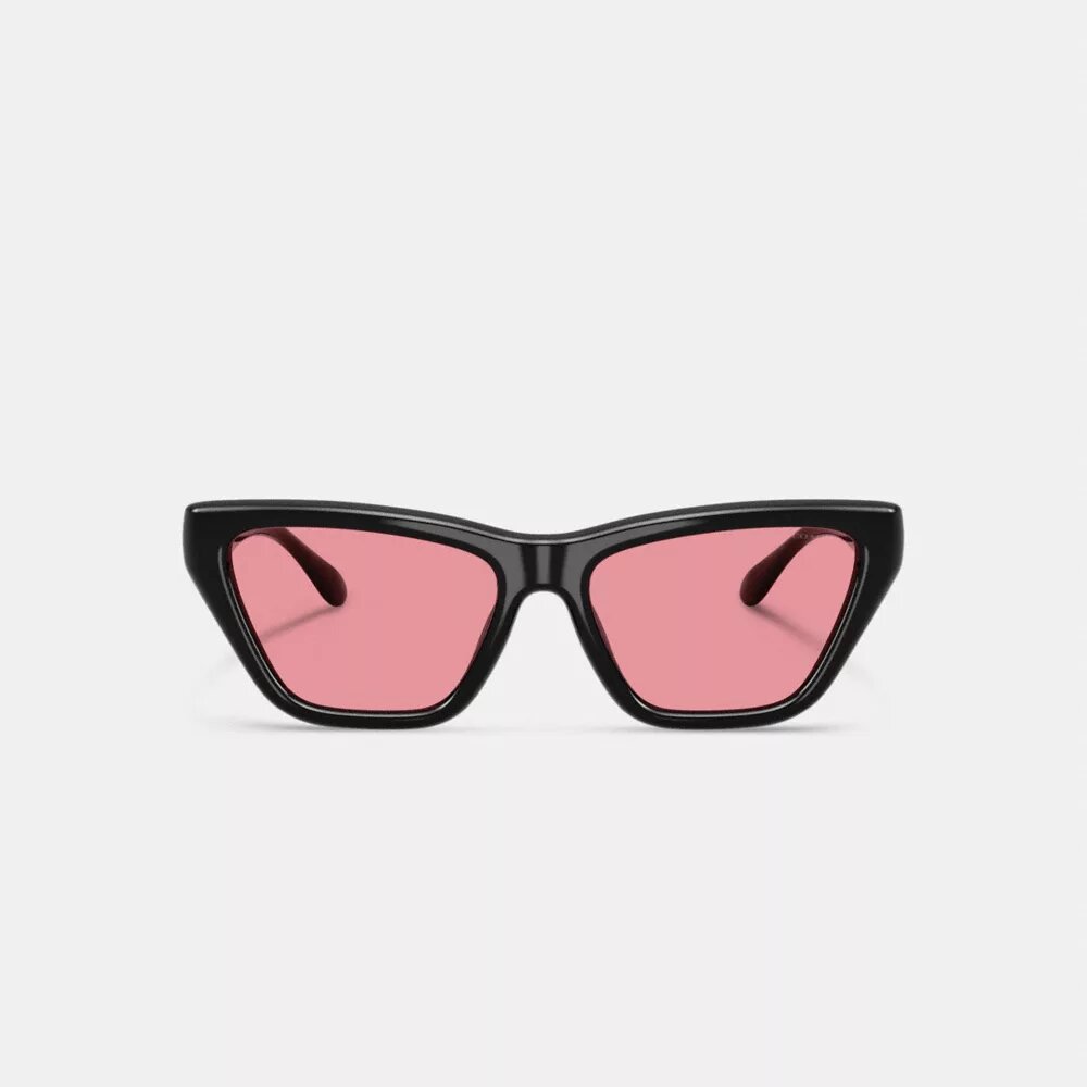 C Hardware Cat Eye Sunglasses