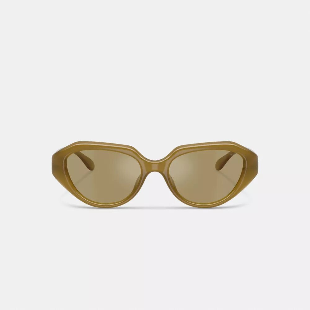 C Hardware Geometric Sunglasses