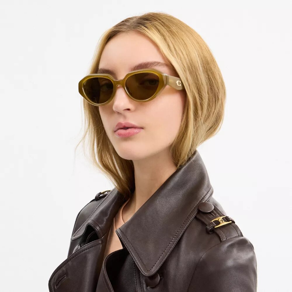 C Hardware Geometric Sunglasses