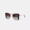 C Hardware Metal Butterfly Square Sunglasses