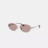 C Hardware Metal Narrow Oval Sunglasses