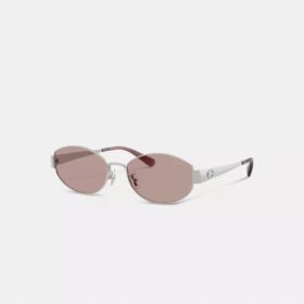C Hardware Metal Narrow Oval Sunglasses