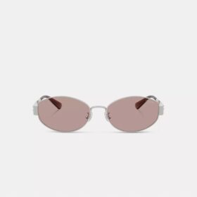 C Hardware Metal Narrow Oval Sunglasses