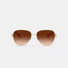 C Hardware Metal Pilot Sunglasses