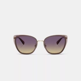 C Hardware Metal Square Sunglasses