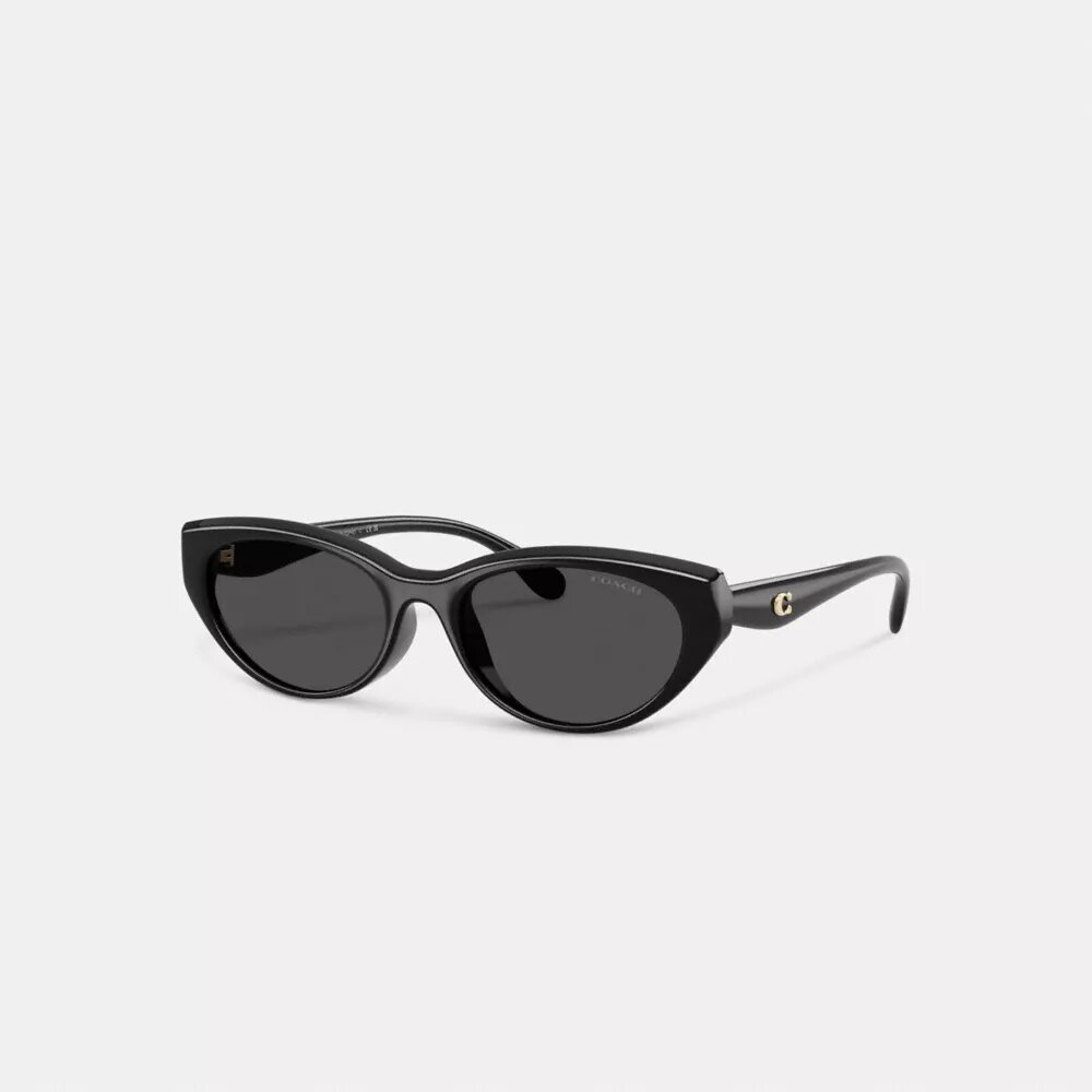 C Hardware Oval Cat Eye Sunglasses