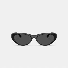 C Hardware Oval Cat Eye Sunglasses