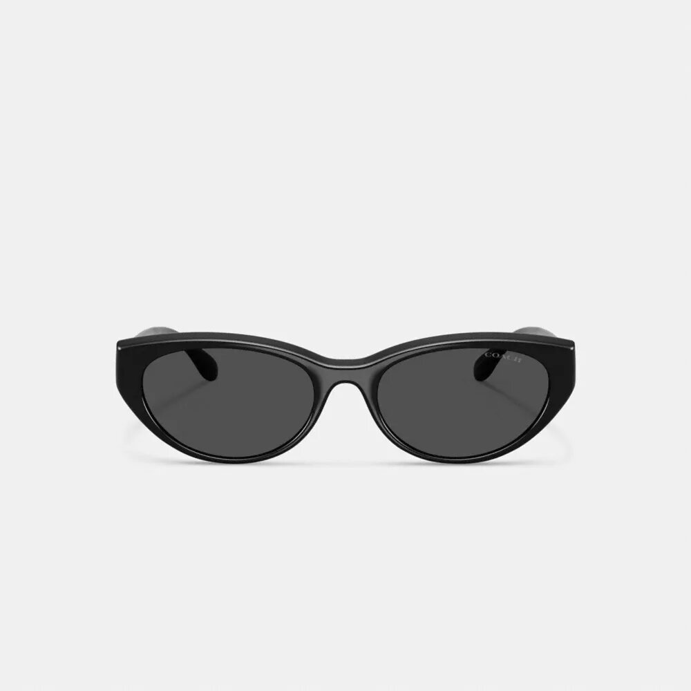 C Hardware Oval Cat Eye Sunglasses