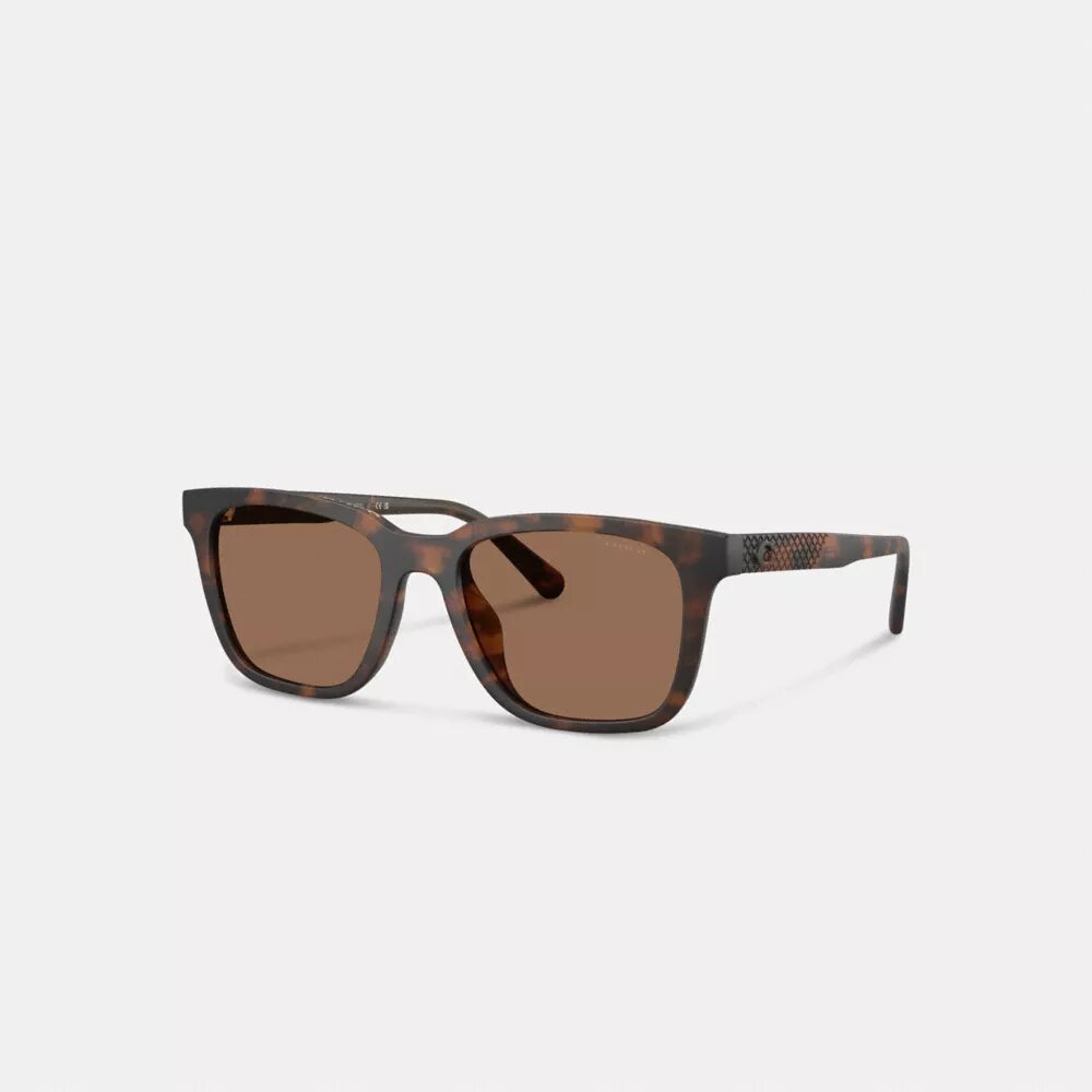 C Hardware Textured Temple Square Sunglasses
