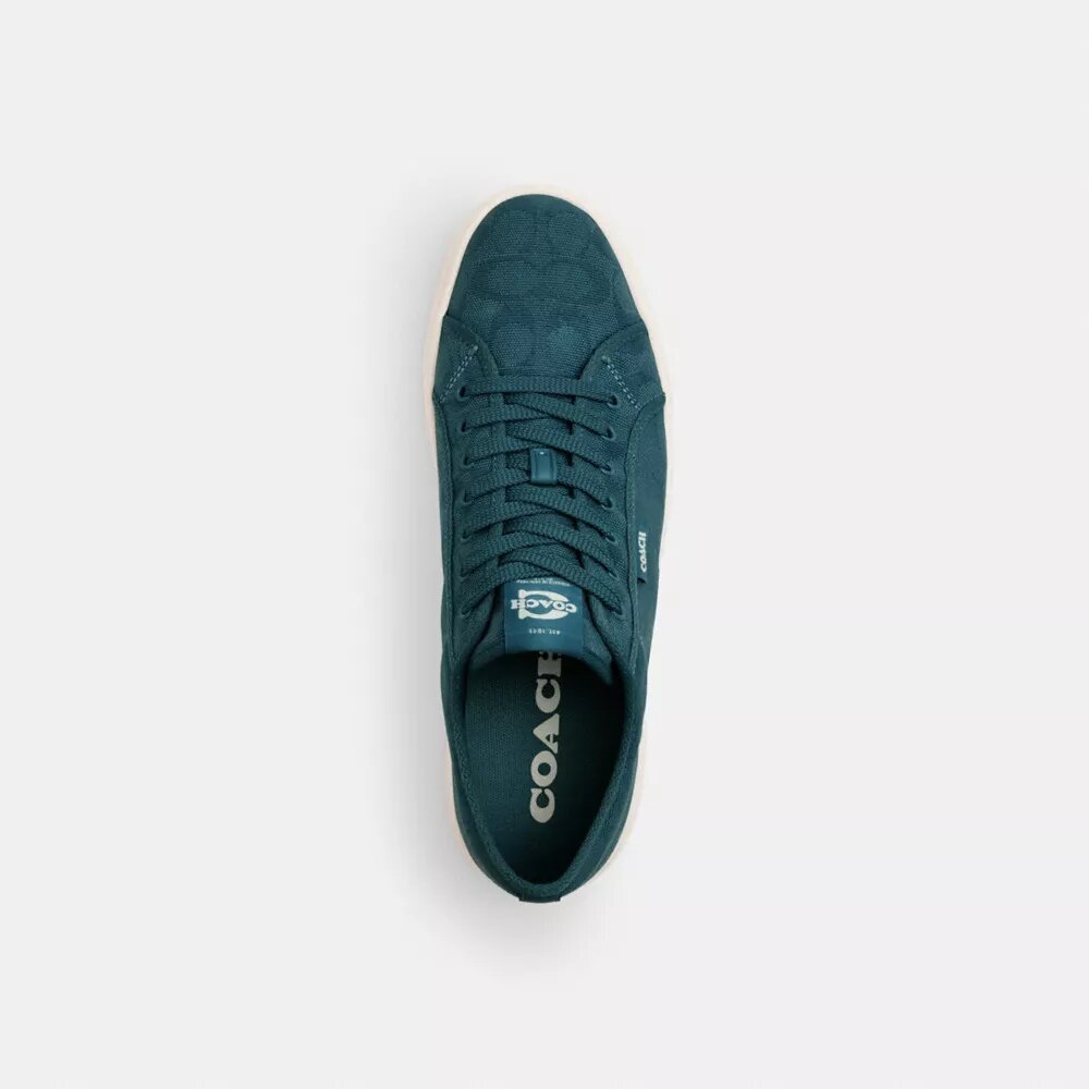 Canvas Sneaker in Signature Jacquard