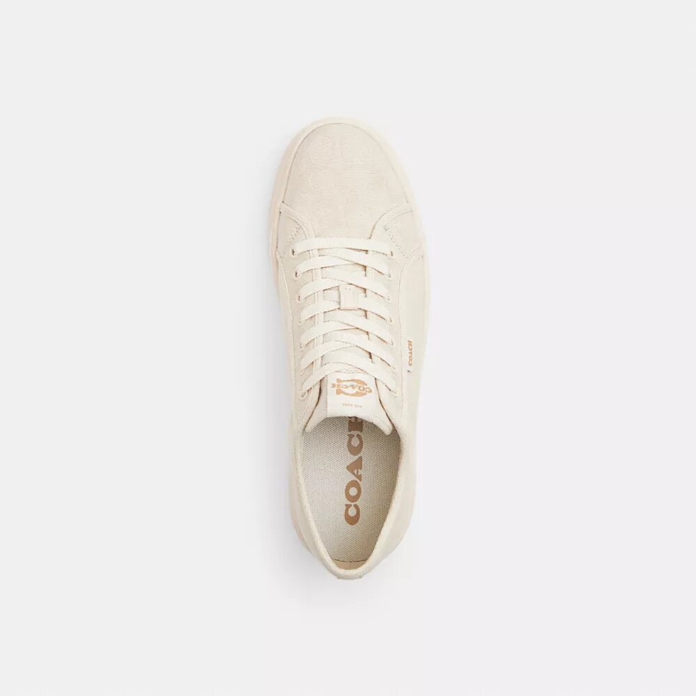 Canvas Sneaker in Signature Jacquard