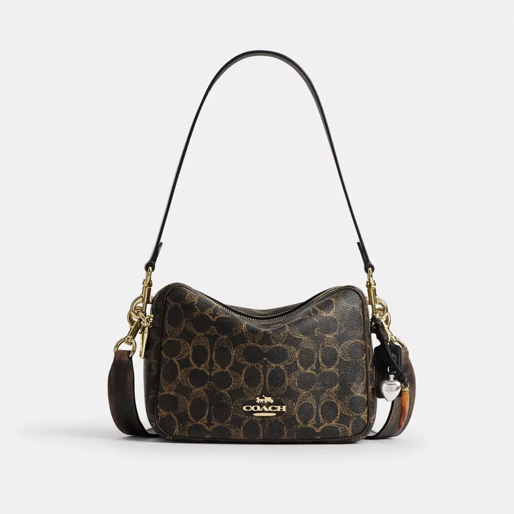 Carey Crossbody Bag in Loved Signature Canvas with Charms