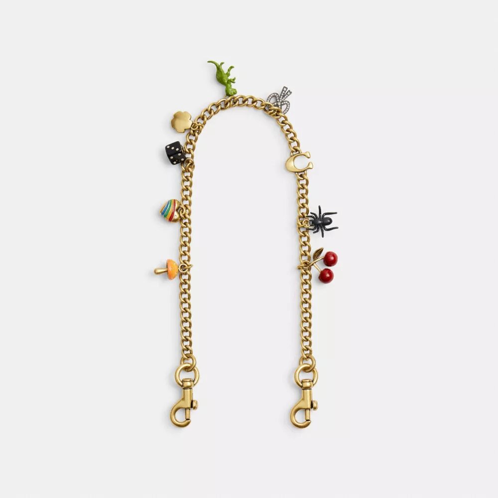 Chain Strap with Charms