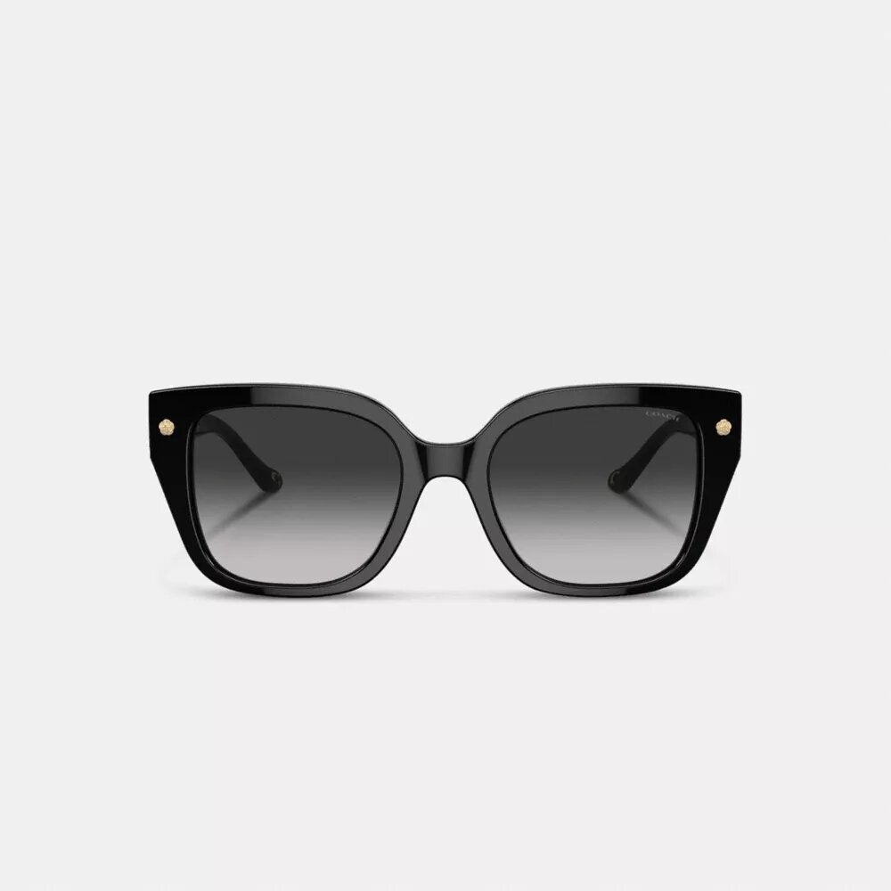 Charms Oversized Square Sunglasses