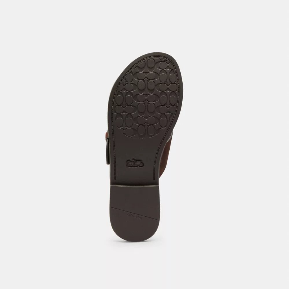 Crisscross Buckle Sandal